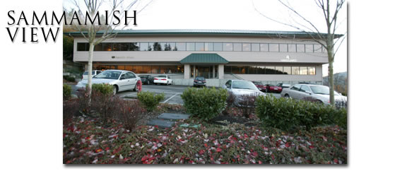 Sammamish View